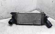 Ladeluftkühler PEUGEOT 407 SW (6E_) 2.0 HDi 135 874823NK