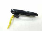 Türaußengriff hinten links TOYOTA RAV 4 III (_A3_) 2.2 D 4WD (ALA30_)