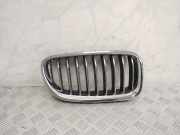 Vorderer oberer Gitter BMW 5 Touring (F11) 525 d 7412324