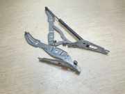 Heckklappescharnier links BMW 1 Cabrio (E88) 120 i 6166752 7166751