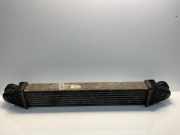 Ladeluftkühler Mercedes-Benz E-Klasse (W211) A2115001102