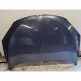 Motorhaube RENAULT MEGANE III Coupe (DZ0/1_) 2.0 TCe (DZ1N)