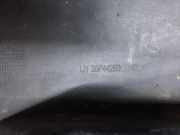 Schweller aus Kunststoff links