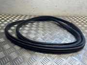 Türdichtung BMW 3er (G20, G28, G80) 223367