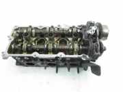 Motorkopf NISSAN PATHFINDER III (R51) 4.0 4WD