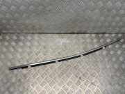 Türfensterleiste hinten links HYUNDAI SANTA FÉ III (DM) 2.2 CRDi 4WD