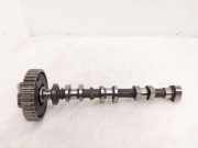 Ansaugkrümmer Ford Transit Courier B460 Kasten () CM5GFE