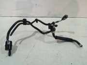 KRAFTSTOFFVERTEILER EINSPRITZLEISTE VERTEILERROHR HYUNDAI IONIQ 5 (NE) EV 31309D3200