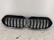 Vorderer oberer Gitter BMW 2 Gran Coupe (F44) 228i xDrive 7476257