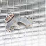 Radnaben vorne links FORD FOCUS III 1.0 EcoBoost AV61-3K171