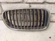 Vorderer oberer Gitter BMW 5 (F10) 525 d 7200728