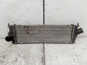 Ladeluftkühler Renault Trafic II Kasten (FL) 8200411160C