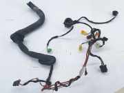 Türverkabelung hinten links MERCEDES-BENZ C (W204) C 200 CDI (204.007, 204.006) A2044407706