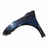 Kotflügel vorne links