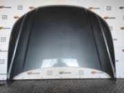 Motorhaube Audi Q5 (8R)