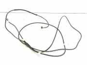 Antenne Dach Citroen Xsara (N1)