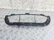 Gitter BMW 3 (E90) 320 d 7898512 51117898512