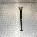 Stoßdämpfer hinten links MERCEDES-BENZ A (W176) A 180 CDI / d (176.012) A2043260598 A2463240307