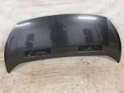 Motorhaube PEUGEOT EXPERT Furgon (VF3A_, VF3U_, VF3X_) 2.0 HDi 120