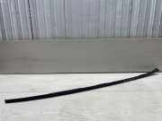 Zierleiste Windschutzscheibe Frontscheibe VW PASSAT Variant B7 (365) 2.0 TDI 3C0854328B