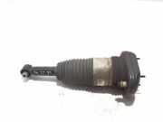 Stoßdämpfer hinten links