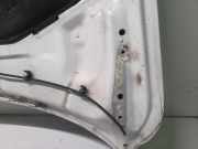 Motorhaube Volvo V70 III (135)