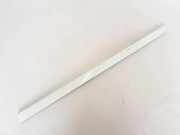 Rechte Dachleistenverkleidung RENAULT CLIO III (BR0/1, CR0/1) 1.5 dCi (C/BR0G, C/BR1G) 8200289831