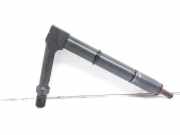 Einspritzdüse NISSAN ALMERA II Hatchback (N16) 2.2 Di 484391