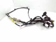 Türverkabelung hinten rechts