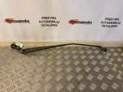 Wischerarm vorne Fiat Ducato Kasten (250)