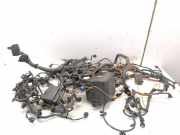 Motor Kabelbaum HYUNDAI ix35 (LM, EL, ELH) 1.7 CRDi 914402Y331