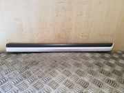 Türverkleidung links hinten VW Passat B7 (362) 3AA854949A