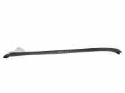 Zierleiste Windschutzscheibe Frontscheibe BMW X5 (E70) xDrive 30 d
