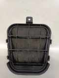 Ziergitter Audi Q2 (GA) 4G9819181