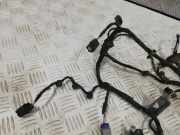 Zylinderkopf Ford EcoSport () CN1515K868MA