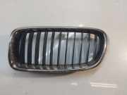 Kühlergrill BMW 3er Touring (F31) 7255411