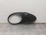 Kühlergrill unten Mercedes-Benz C-Klasse (W203) A2038850623