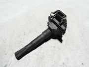 Zündspule Audi A3 (8L) 0040100013