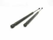 Heckklappe Gasdruckfeder rechts FIAT STILO (192_) 1.4 16V 0250N 8357N0