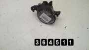 Nebelscheinwerfer rechts vorne Renault Laguna Coupe (T)