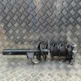 Stoßdämpfer vorne links