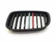 Gitter Grill vorne links BMW 5 Gran Turismo (F07) 550 i