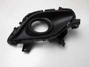 Nebelscheinwerferverkleidung