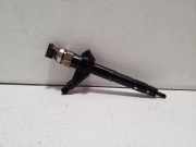 Düsenstöcke Nissan Pathfinder III (R51) 16600EB300