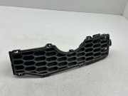 Gitter vorne unten CHEVROLET CAPTIVA (C100, C140) 3.2 4WD 96623660