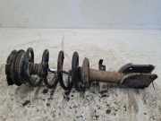 Stoßdämpfer vorne rechts RENAULT VEL SATIS (BJ0_) 2.2 dCi (BJ0E, BJ0F)