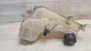 AUSGLEICHSBEHÄLTER KÜHLWASSER RENAULT LAGUNA III (BT0/1) 2.0 dCi (BT01, BT09, BT12, BT1S) 217100014R