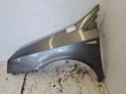 Kotflügel vorne links RENAULT VEL SATIS (BJ0_) 2.2 dCi (BJ0E, BJ0F)