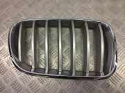 Vorderer oberer Gitter BMW X3 (F25) xDrive 35 i 7210726