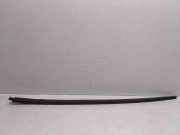 Zierleiste Windschutzscheibe Frontscheibe VW GOLF VIII (CD1) 1.0 TSI 1K0854319G 1K0854319G5AP